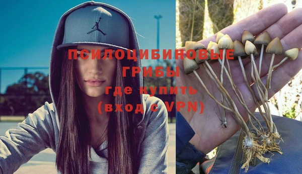 дживик Володарск