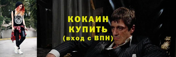 дживик Володарск