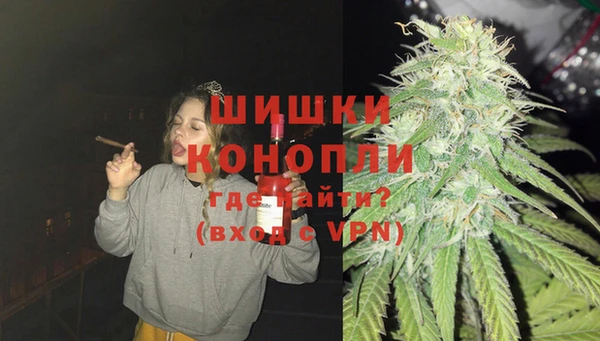 дживик Володарск