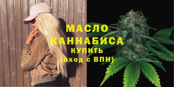 дживик Володарск
