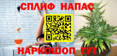 гидра Будённовск