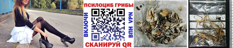 Галлюциногенные грибы GOLDEN TEACHER  купить наркотик  Воткинск 