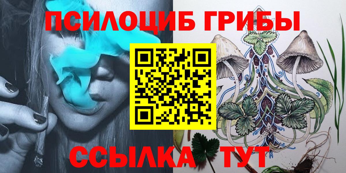 Воткинск  сколько стоит  Вход с VPN  Галлюциногенные грибы прущие грибы 
