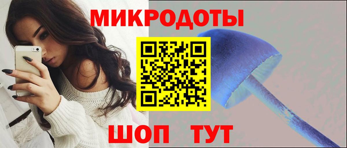 Псилоцибиновые грибы Cubensis Воткинск